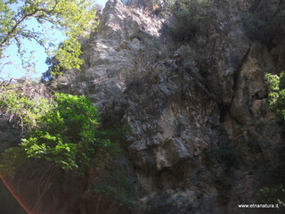 ldaia del Drago19-07-2015 10-31-25
